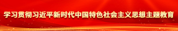 老年女人阴户被舔视频学习贯彻习近平新时代中国特色社会主义思想主题教育